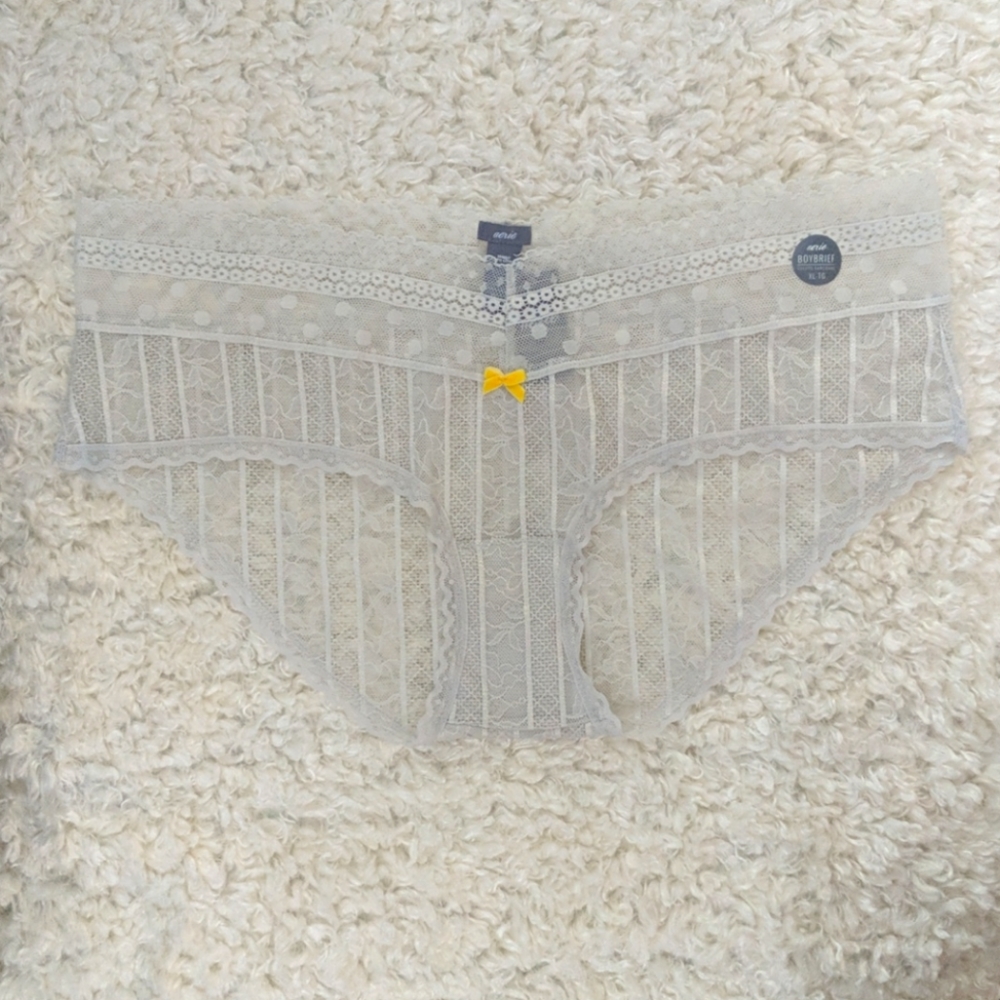 NWT Aerie Lace Boybriefs